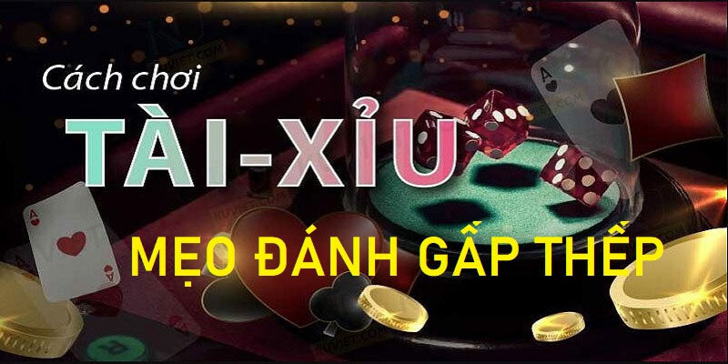 cược gấp thếp là gì